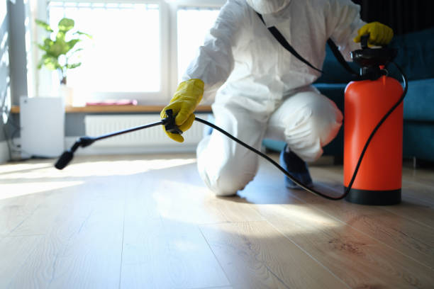 Best Local Pest Control Services  in Roanoke Rapids, NC