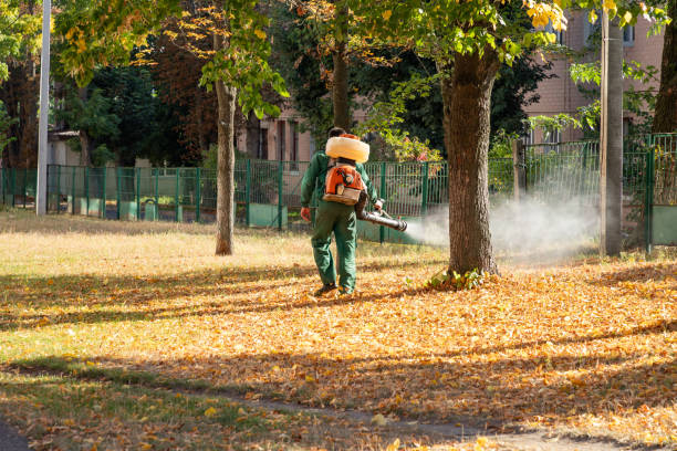 Pest Control Cost in Roanoke Rapids, NC